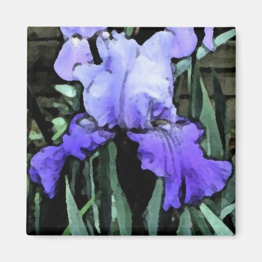 FX – ブルーアイリスマグネット マグネット (正面)