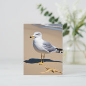 gに囲まれたかわいらしビーチの小さなカモメ ポストカード (スタンド正面)