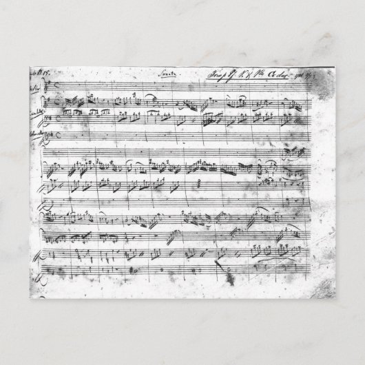 Gバイオ専攻のリン、ハープシコードおよびvioloncello 2 ポストカード (正面)