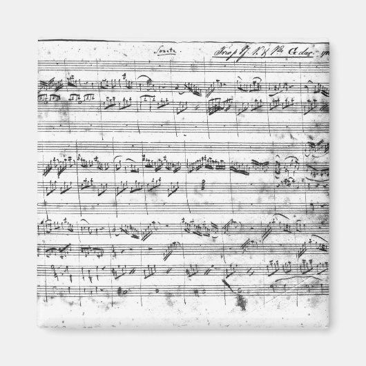 Gバイオ専攻のリン、ハープシコードおよびvioloncello 2 マグネット (正面)