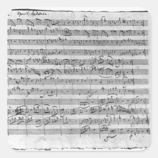 Gバイオ専攻のリン、ハープシコードおよびvioloncello 3 スクエアシール (正面)