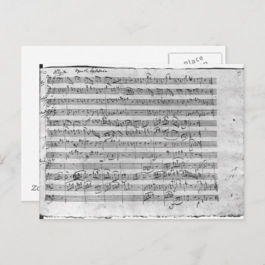 Gバイオ専攻のリン、ハープシコードおよびvioloncello 3 ポストカード (正面/裏面)