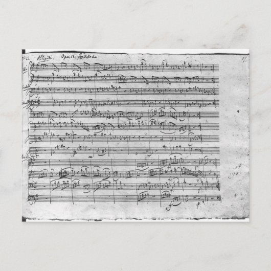 Gバイオ専攻のリン、ハープシコードおよびvioloncello 3 ポストカード (正面)