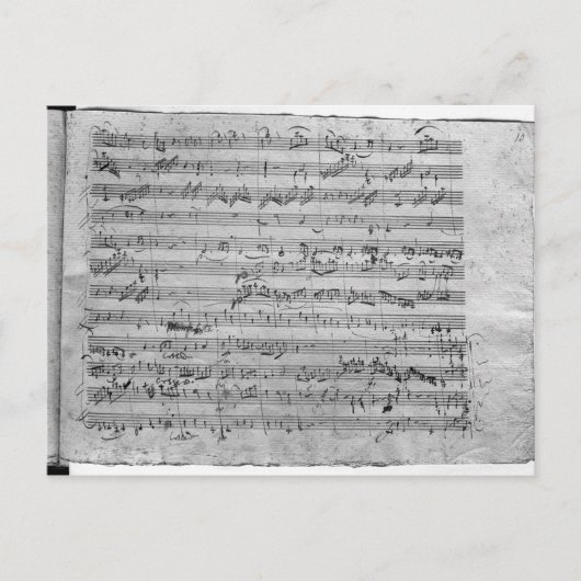 Gバイオ専攻のリン、ハープシコード、ビオロンチェロ ポストカード (正面)