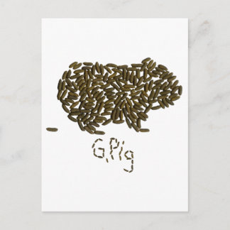 「G. ピッグ」 クラシック・モルモットとともに ポストカード