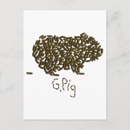 「G. ピッグ」 クラシック・モルモットとともに ポストカード (正面)