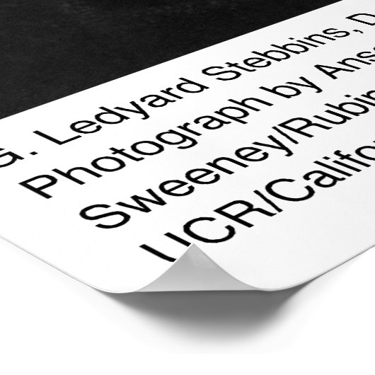 G. Ledyard Stebbins, UC Davis, 1966 ポスター (角)