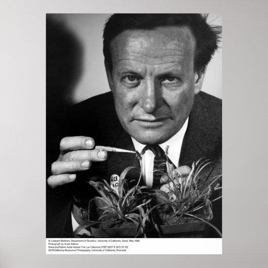 G. Ledyard Stebbins, UC Davis, 1966 ポスター (正面)