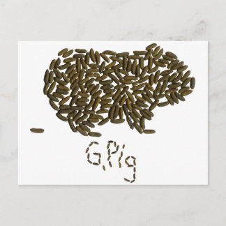 「G.Pig」とクラシックGuinea Pig ポストカード