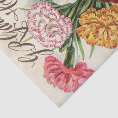 G.R. Gause 1898カーネーション種子カタログ 薄葉紙 (詳細)