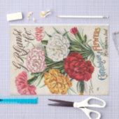 G.R. Gause 1898カーネーション種子カタログ 薄葉紙 (クラフト)