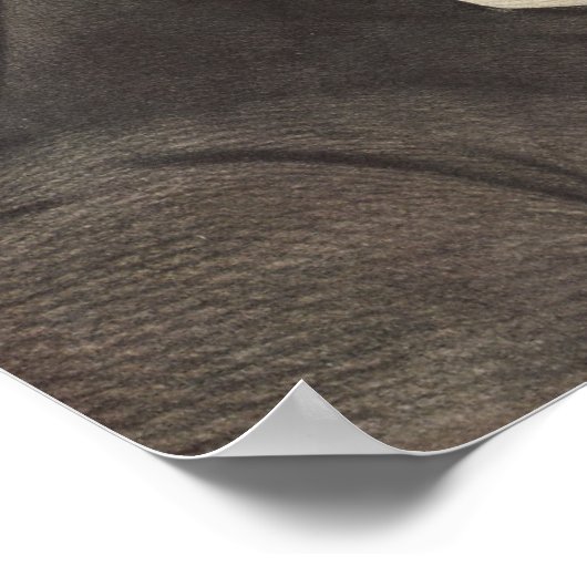 G Washington, Currier and Ives ポスター (角)