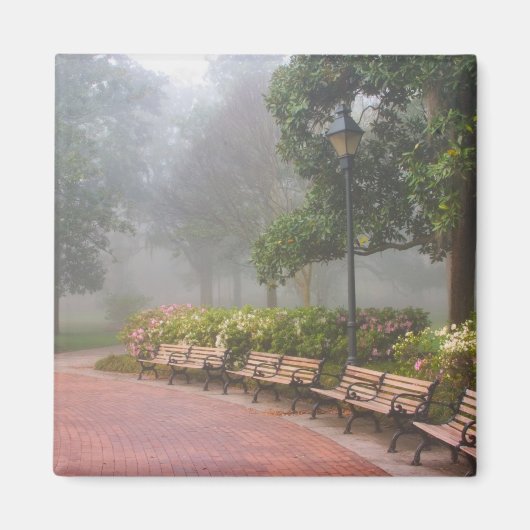 GAサバンナ、レンガ造りの歩道に沿ったツツツジ マグネット (正面)