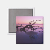 GAジキル島、ツリー墓地のビーチ マグネット (正面/裏面)