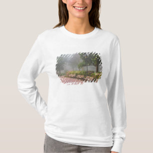 GA サバンナ、レンガの歩道沿いのツツジと Tシャツ