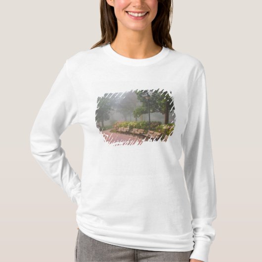 GA サバンナ、レンガの歩道沿いのツツジと Tシャツ (正面)
