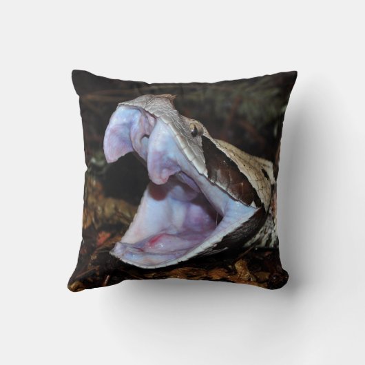 Gaboon毒蛇 クッション (裏面)