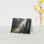 Gabriolaの森林日光 カード (黄色い花)