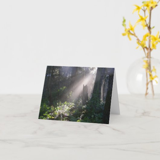 Gabriolaの森林日光 カード (黄色い花)