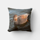 Gadwall Duck Drake on the Lake クッション (正面)