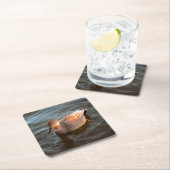 Gadwall Duck Drake on the Lake スクエアペーパーコースター (インサイチュ)