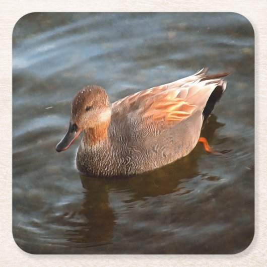 Gadwall Duck Drake on the Lake スクエアペーパーコースター (正面)