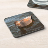 Gadwall Duck Drake on the Lake Glass Coaster コースター (左側)