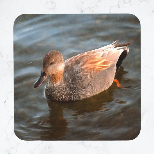 Gadwall Duck Drake on the Lake Glass Coaster コースター