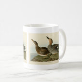 Gadwall Duck - John Audubon's Birds of America コーヒーマグカップ (正面右)
