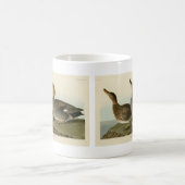 Gadwall Duck - John Audubon's Birds of America コーヒーマグカップ (中央)