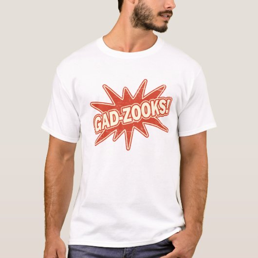 Gadzooksの混合物のティー Tシャツ (正面)