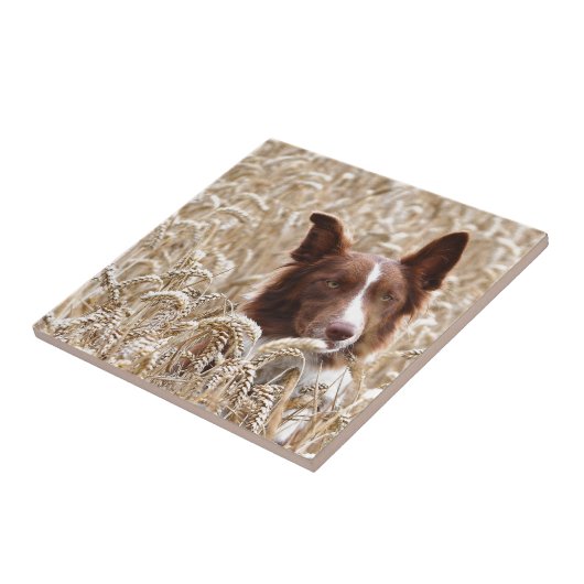 Gael タイル (側面)