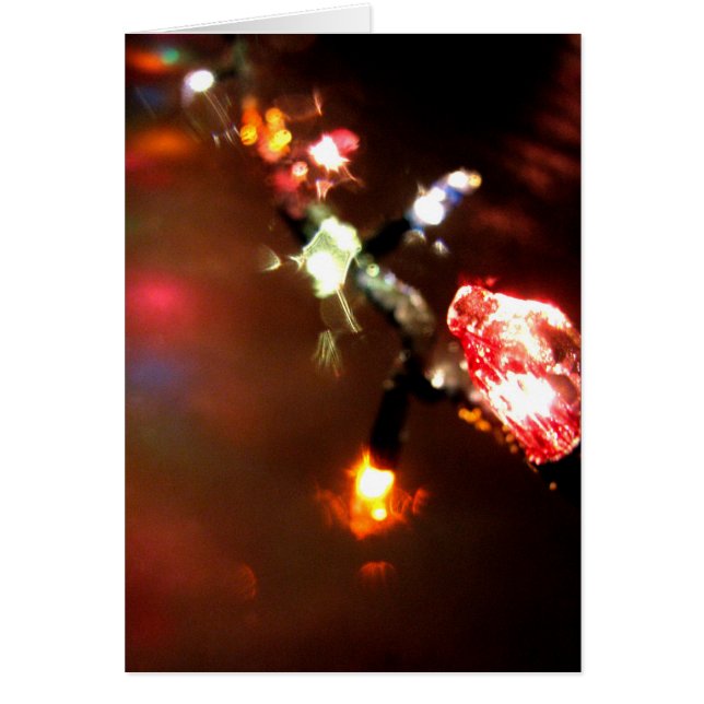 Gaggaの高さ (正面)
