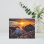 Gaint´s Causeway in Irland Postkarte ポストカード (スタンド正面)