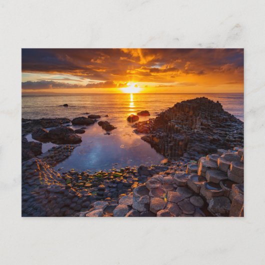 Gaint´s Causeway in Irland Postkarte ポストカード (正面)
