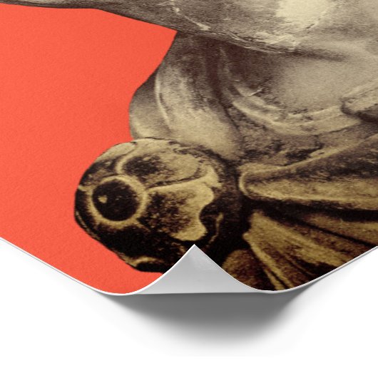 Gaius Iulius Caesar – Gaius Julius Cäsar ポスター (角)