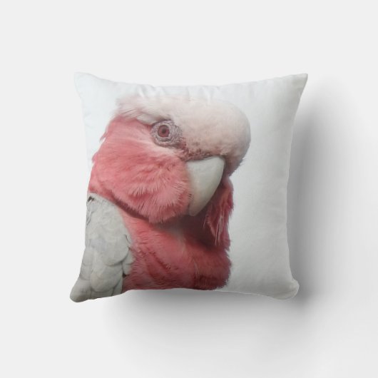 Galahのクッション クッション (裏面)