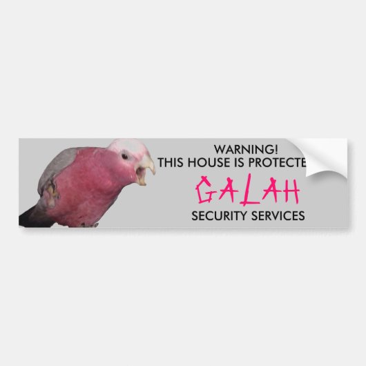 GALAHのステッカー バンパーステッカー (正面)