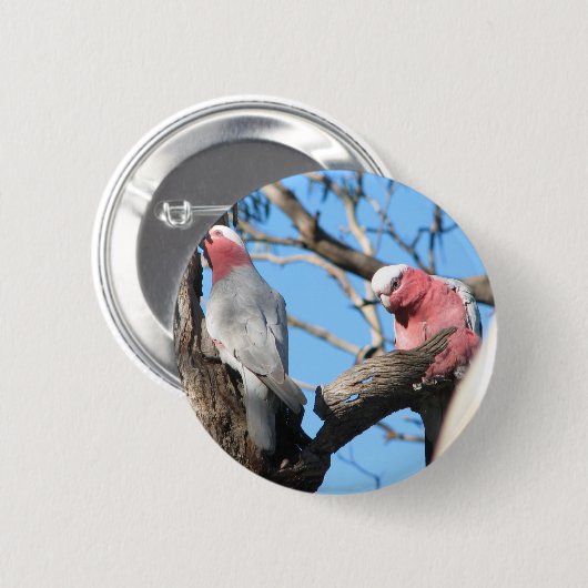 Galah 缶バッジ (正面&裏面)