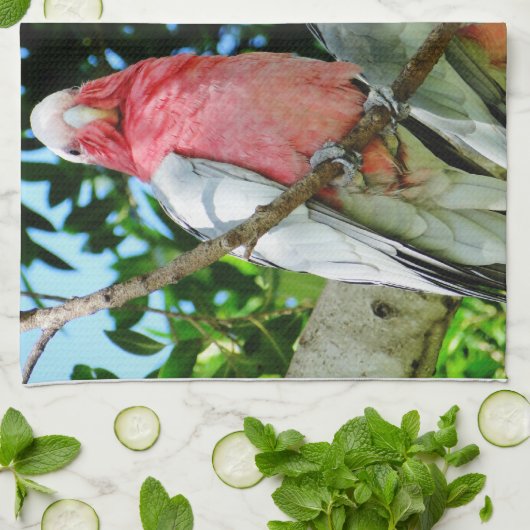 Galah (Breastedのばら色のオウム) キッチンタオル (折り畳み)