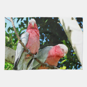 Galah (Breastedのばら色のオウム) キッチンタオル