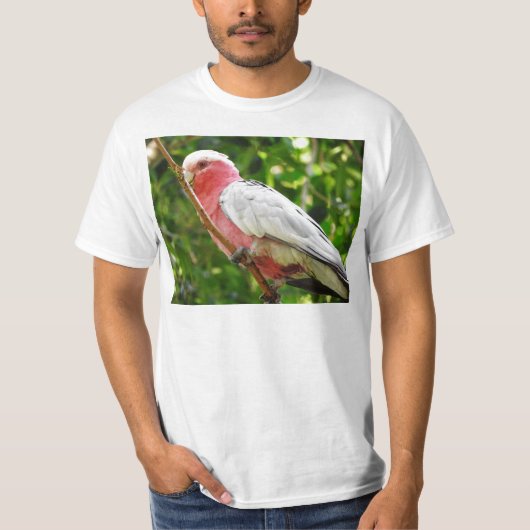 Galah (Breastedのばら色のオウム) Tシャツ (正面)