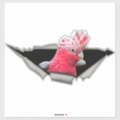 Galah Cockatoo decal, parrot decal, bird sticker シール (シート)