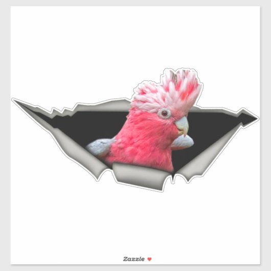 Galah Cockatoo decal, parrot decal, bird sticker シール (シート)