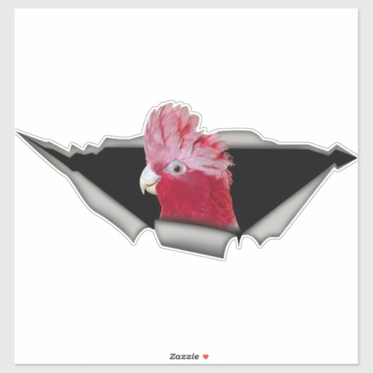 Galah Cockatoo Sticker – Pink Parrot Bird Decal シール (シート)