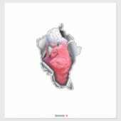 Galah Parrot Vinyl Decal – Pink & Grey Bird Sticke シール (シート)