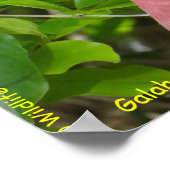 Galah (Rose Breasted/Roseate Cockatoo) ポスター (角)