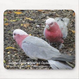 Galahs (Breastedのばら色のオウム) マウスパッド