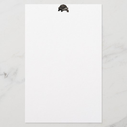 Galápagosかガラパゴスのゾウガメ 便箋 (正面)