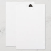 Galápagosかガラパゴスのゾウガメ 便箋 (正面/裏面)